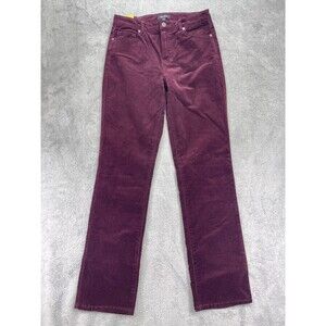 Well Worn Corduroy Pants Womens 6/28 Purple Cotton Stretch High-Rise Casual